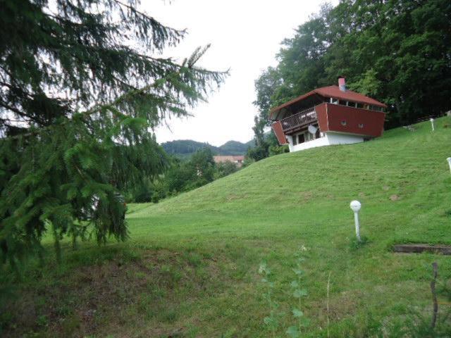Chalet Contemporain Plein Nature Altenbach Exterior foto